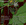 Pathcarver